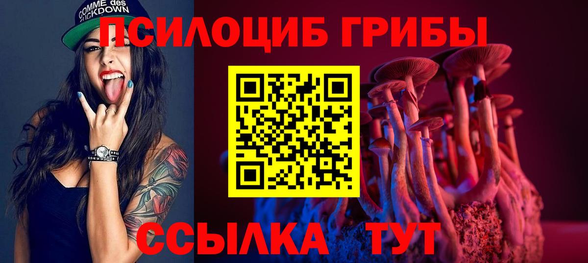 Галлюциногенные грибы Cubensis Балашов